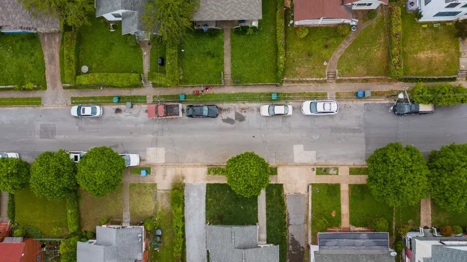 mold removal Brownstown